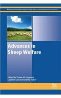 Advances in Sheep Welfare