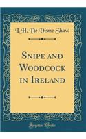 Snipe and Woodcock in Ireland (Classic Reprint)