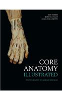 Core Anatomy - Illustrated