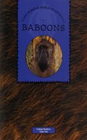 Baboons: (Dominie World of Animals)