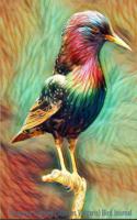 European Starling (Sturnus Vulgaris) Bird Journal: 6x9 Lined 150 Pages Journal Notebook Diary