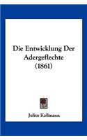 Die Entwicklung Der Adergeflechte (1861)