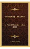 Perfecting The Earth