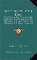 Sketches of Little Boys: Containing the Well Behaved, the Covetous, the Dilatory, the Attentive, the Inattentive, the Exact and the Good Little Boy