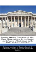 Prisoner Reentry Experiences of Adult Males