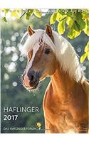 Haflinger Horses 2017 - by Das Haflinger Forum 2017