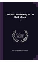 Biblical Commentary on the Book of Job;: 2