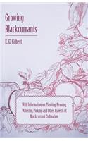 Growing Blackcurrants - With Information on Planting, Pruning, Watering, Picking and Other Aspects of Blackcurrant Cultivation