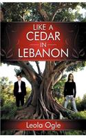 Like A Cedar In Lebanon