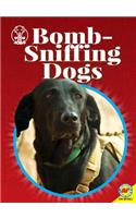 Bomb-Sniffing Dogs