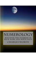 Numerology: Discover The Numbers In Your Name And Birth Date(English)