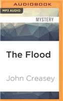 Flood