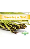 Becoming a Newt