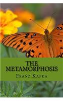 Metamorphosis