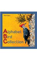 Alphabet Bird Collection