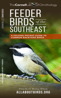 Feeder Birds of the Southeast