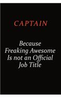 Captain Because Freaking Awesome Is Not An Official Job Title