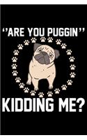 Are You Puggin Kidding Me?