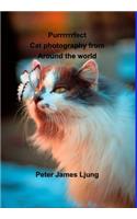 PURRRRRRFECT Cat photography