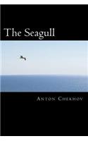 Seagull