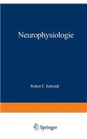 Neurophysiologie