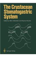 Crustacean Stomatogastric System