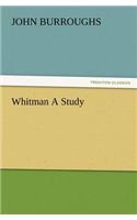 Whitman a Study