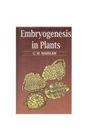 Embryogenesis in Plants