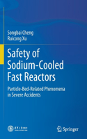 Safety of Sodium-Cooled Fast Reactors