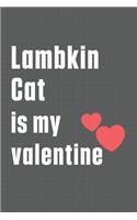 Lambkin Cat is my valentine: For Lambkin Cat Fans
