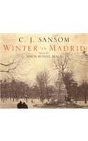 Winter in Madrid