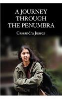A Journey Through The Penumbra: (English)