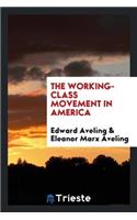 The Working-Class Movement in America