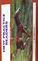 New Practice Readers, Book B, 3rd Edition