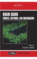 Brain Aging