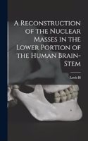 A Reconstruction of the Nuclear Masses in the Lower Portion of the Human Brain-stem