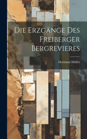 Erzgänge Des Freiberger Bergrevieres