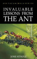 Invaluable Lessons from the Ant