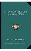 Tea Planter's Life in Assam (1884)