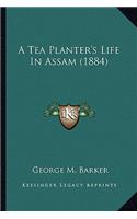 Tea Planter's Life in Assam (1884)