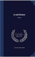 A red Flower