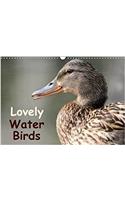 Lovely Water Birds 2018