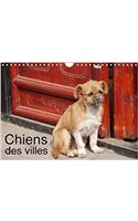 Chiens Des Villes 2018: La Vie Canine En Ville(Calvendo Animaux)