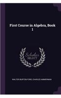 First Course in Algebra, Book 1