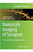 Nanoscale Imaging of Synapses