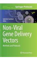 Non-Viral Gene Delivery Vectors