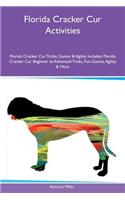 Florida Cracker Cur Activities Florida Cracker Cur Tricks, Games & Agility Includes: Florida Cracker Cur Beginner to Advanced Tricks, Fun Games, Agility & More