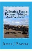 Collecting Fossils Between Whitby And Sandsend.