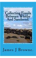 Collecting Fossils Between Whitby And Sandsend.