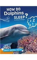 How Do Dolphins Sleep?